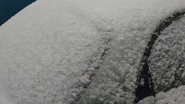 09-12-2025 Первый и неожиданный снег.