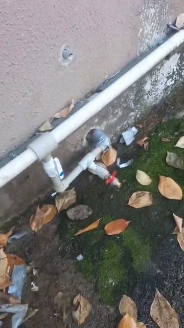 Молокова, 18/78