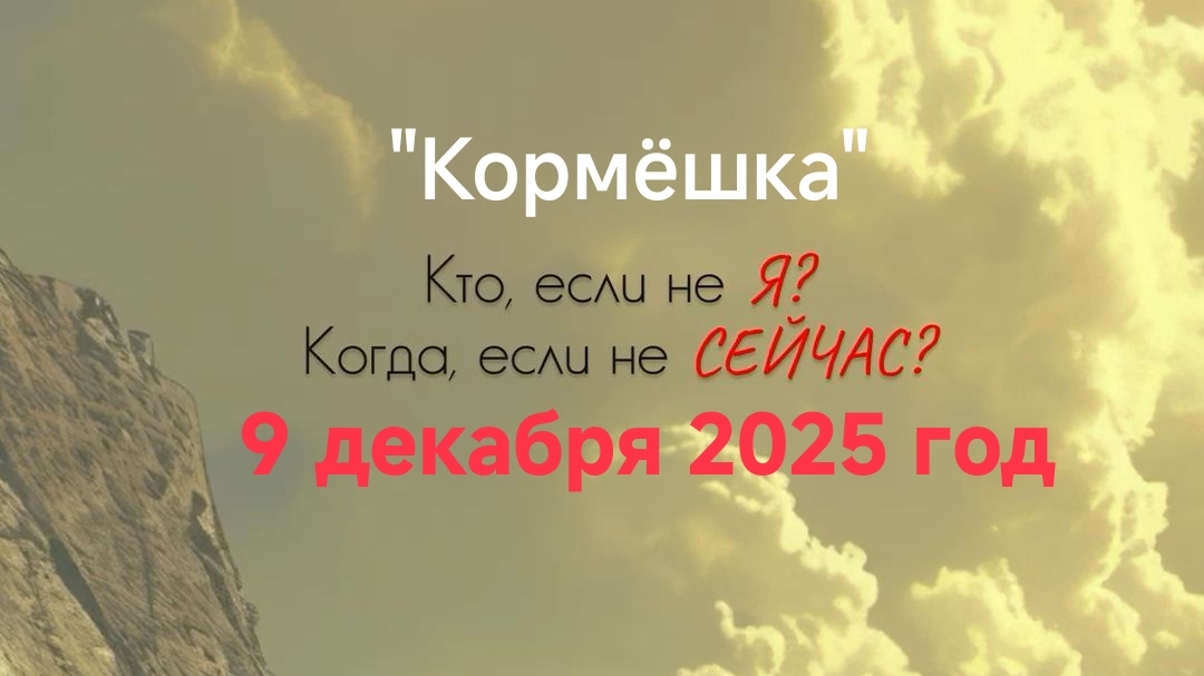 Новый год совсем скоро 🔜, а у нас кормёшка