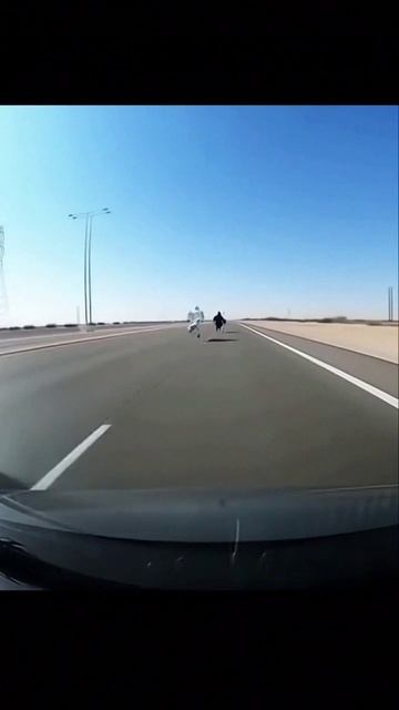 мото движение