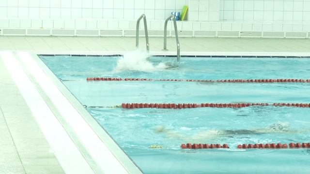 Завершилась Спартакиада трудовых коллективов. Последний этап – плавание. Панорама 09.12.25