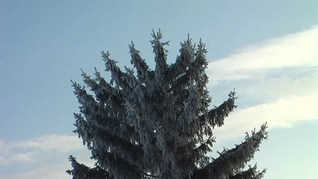 Начало 2019 года январь Першино