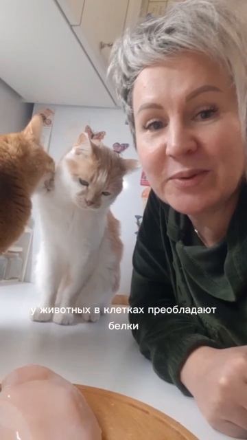 ТГ канал https://t.me/biologyege100