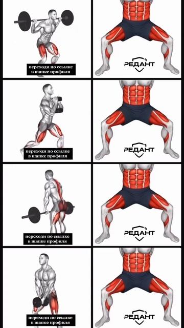 Пресс и ляшки — фундамент силы 💪