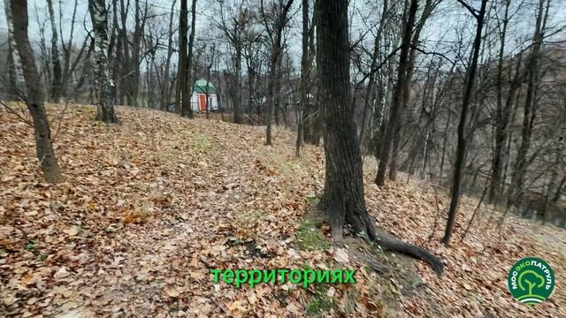 Андреевский овраг в Нескучном саду