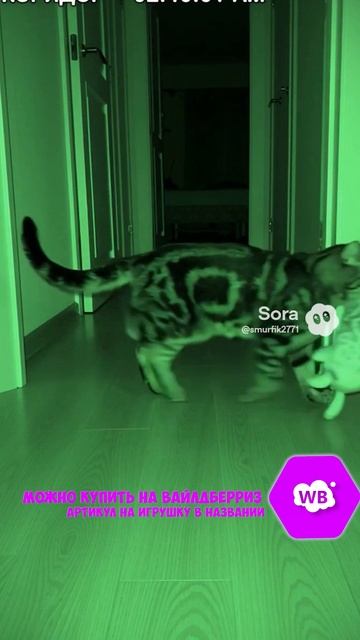 УТАЩИЛ Артикул на ВБ: 193431345 #тюлень #тюлени #игрушки #мягкиеигрушки #sora #прикол #кот #котики