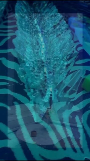 Изготовление и монтаж инсталляций