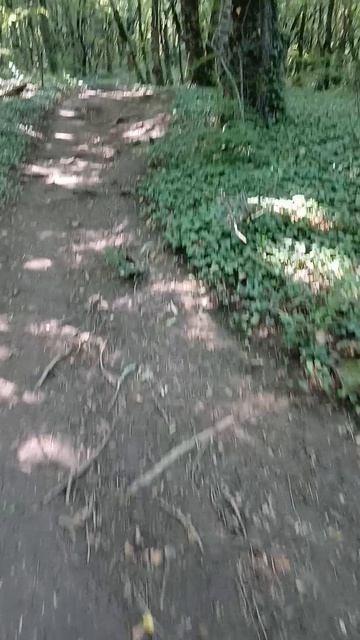 Забираюсь на второй горб на горе Верблюд (Медведь) в Архипо-Осиповке