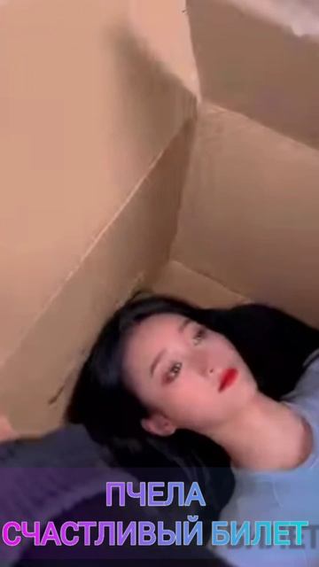 Это предел кошмара, который нас ожидает.Пчела-Счастливый билет. @pchela-music #пчела #pchela #хи
