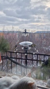 Хороший сериал всегда пробивает на эмоции.