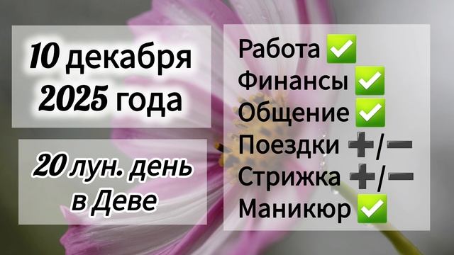 Лунный день 10 декабря 2025 года, гороскоп дня