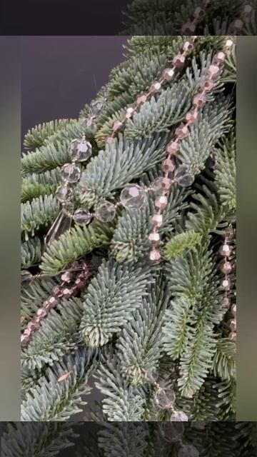 Хрустальный лес