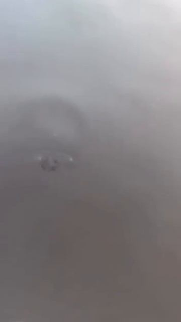 Клип @zatropheem