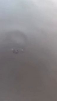 Клип @zatropheem