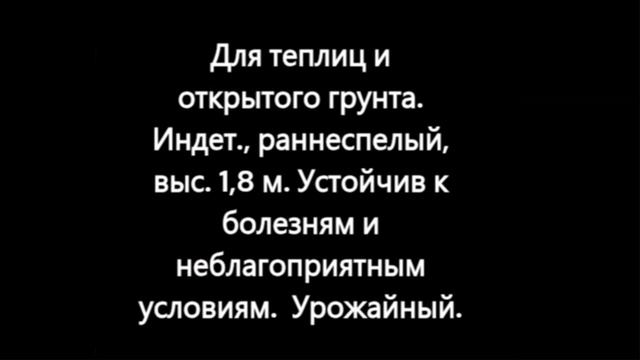 СКИДКИ на СЕМЕНА! Каталог томатов на 2026 год. Часть 10. г. Киров т. 89229284031.