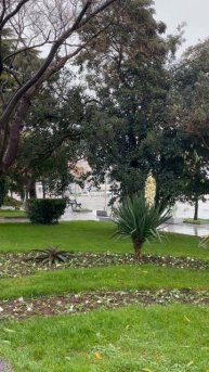 Ялта 💖💖💖