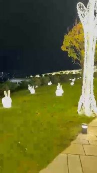 парк Галицкого 2025