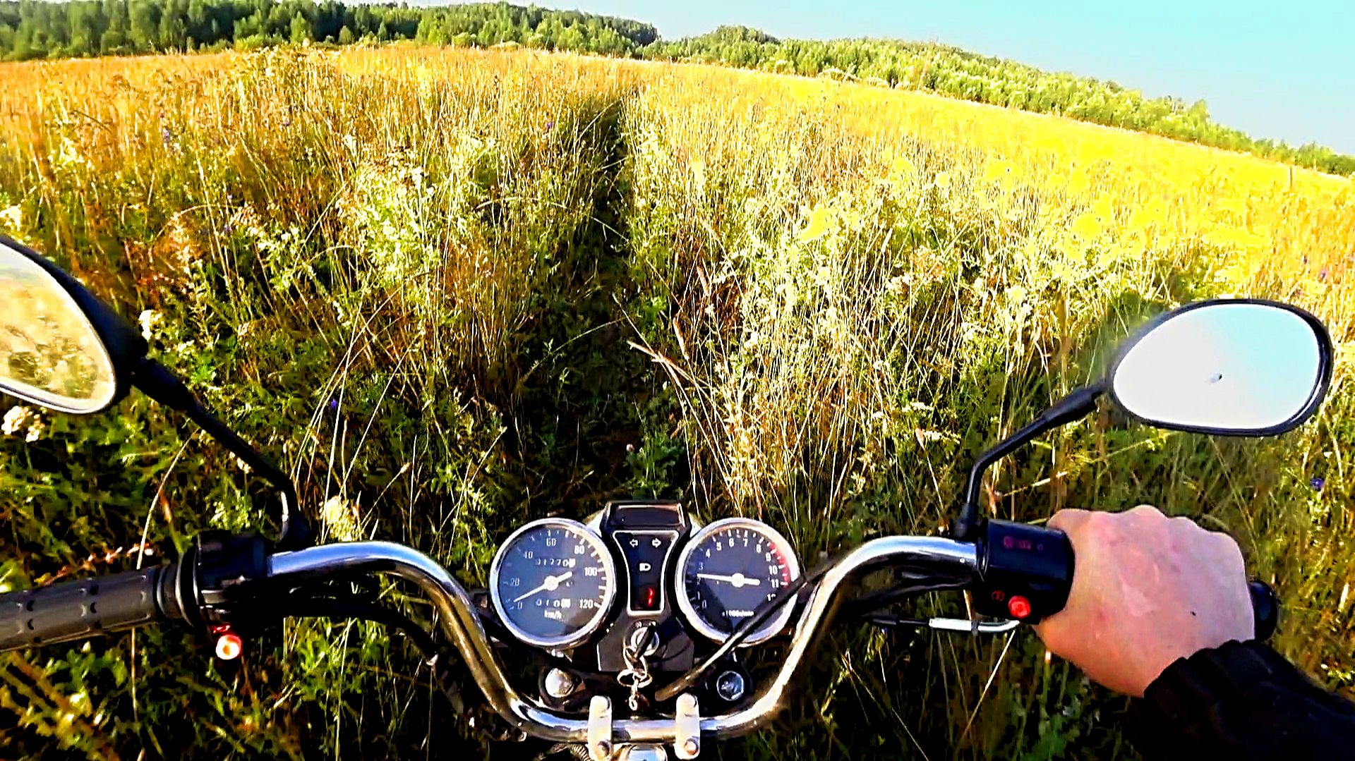 Продолжаю поиск в другом лесу...