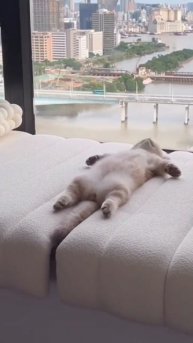 Доброе утро