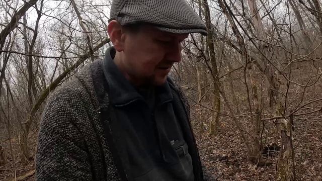 Грибное отчаяние ОТец ищет грибы 09.12.25г