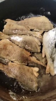 Окунь декабрьский