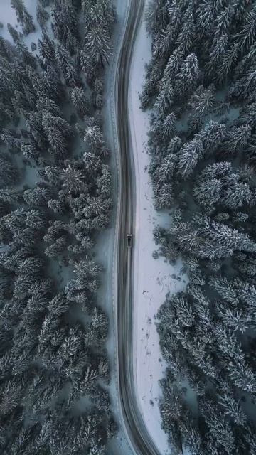 Зимняя тишина на пустой дороге