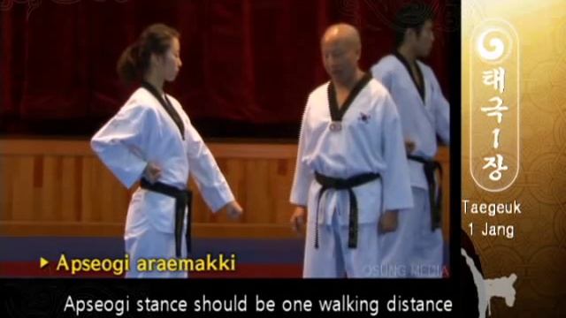 Taegeuk 01 Il Jang (Kyu Hyung Lee)