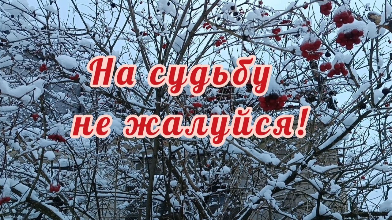 НА СУДЬБУ НЕ ЖАЛУЙСЯ