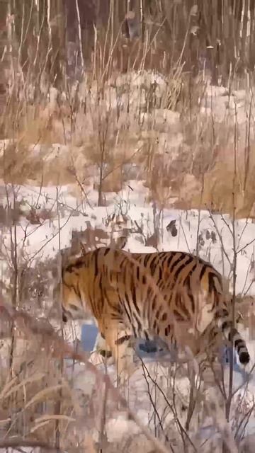 Вы кто такие?