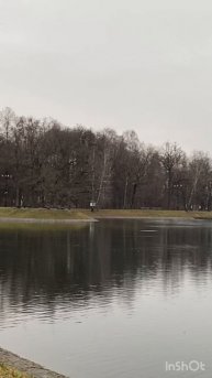 Мы «загружаемся» в программу каждое утро, значит можем отделять своего истинного себя от чужой игры