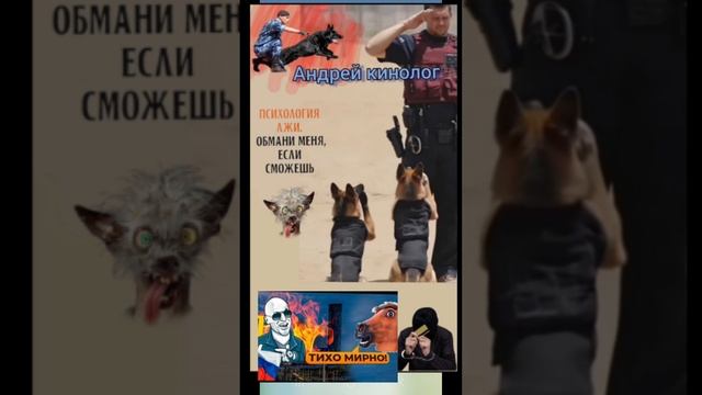 Разрыв пердока