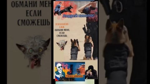 Разрыв пердока