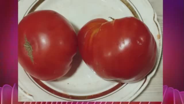 СКИДКА на СЕМЕНА! Каталог томатов на 2026 год. Часть 7. г. Киров т. 89229284031