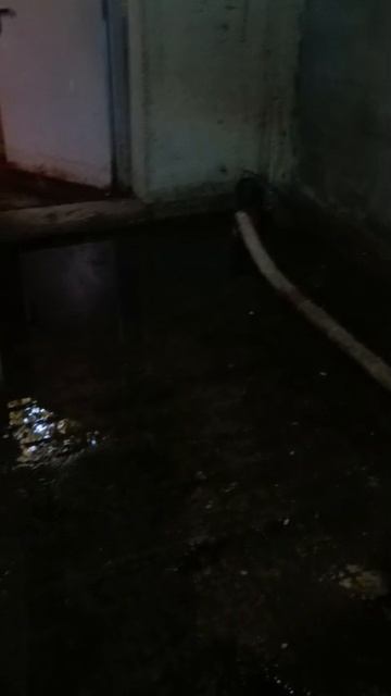 Эстонская, 37/5