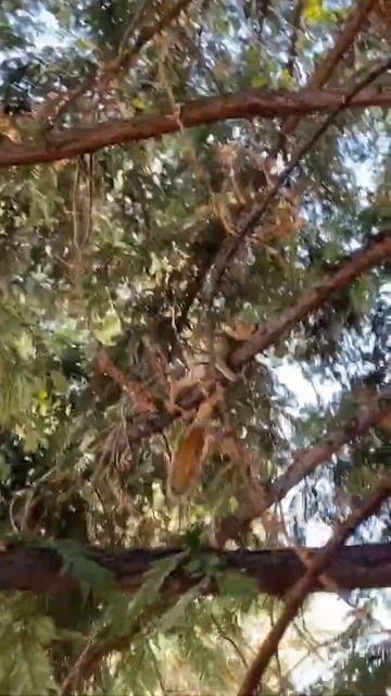 Такой концовки я и сам не ожидал (85)