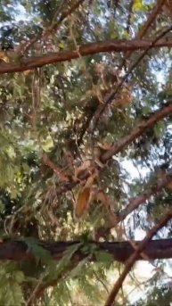 Такой концовки я и сам не ожидал (85)