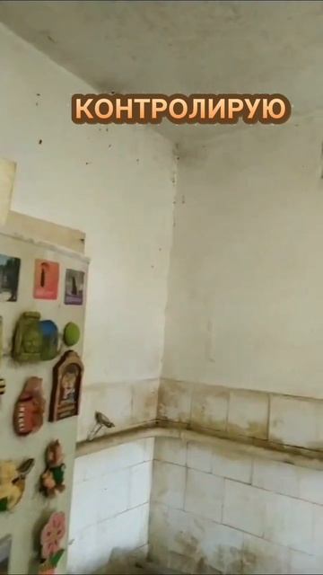 Большой успех начинается с маленькой дисциплины.