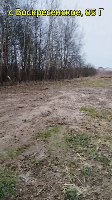 Воскр 85 Г_обзор с субтитрами_2025.12