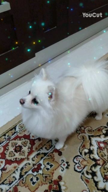 поставь лайк