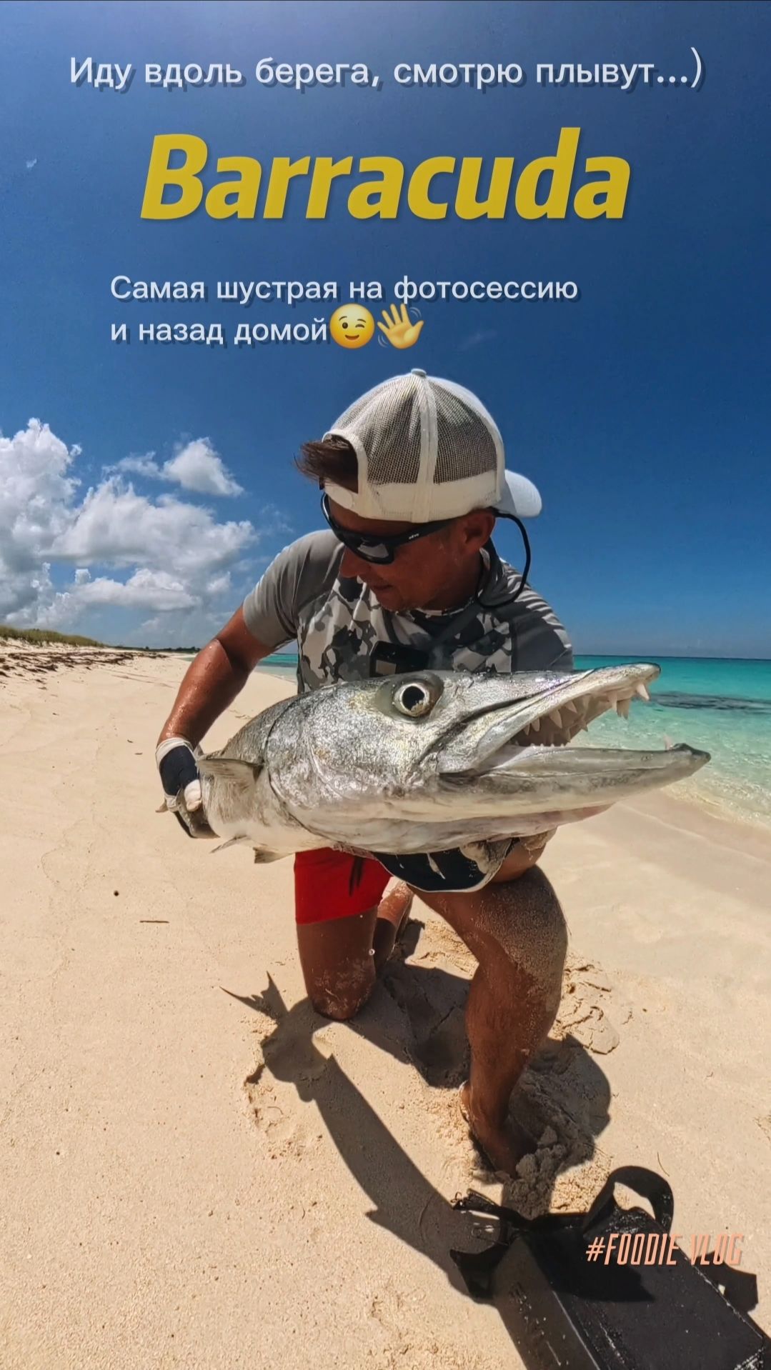 Барракуда вдоль берега