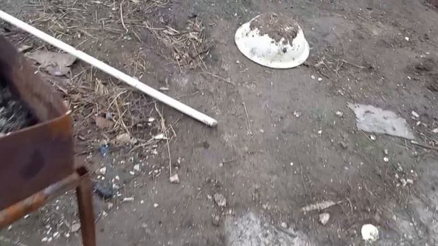 В борще ем только жижку. Ваську днем е беспокоить!