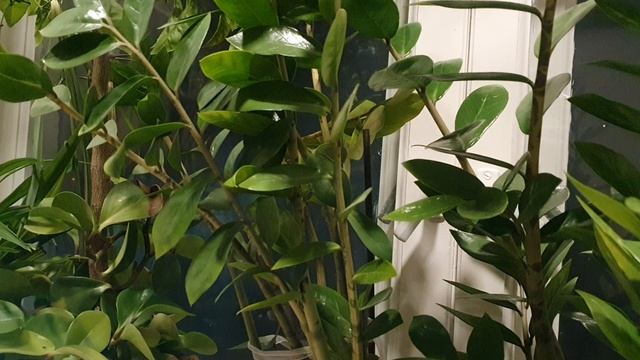 Уходят друзья...