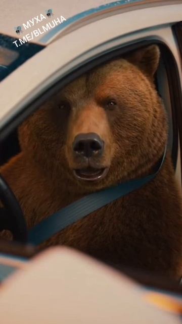 Питерское такси