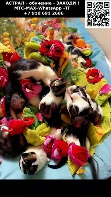 Красивый астральный образ. ИИ. Арт нейросеть. фэнтези #реальность #фэнтези #ИИ #нейросеть #видео