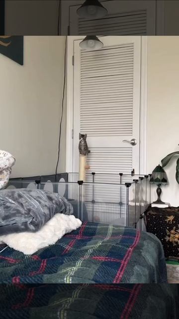 Побег из Шоушенка