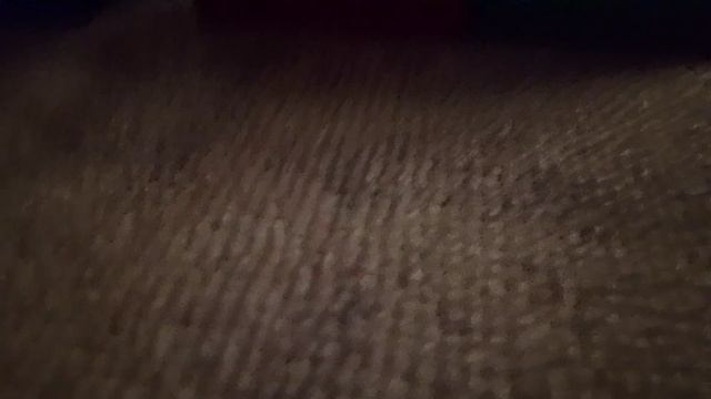 наш синий друг пришёл пройти испытание