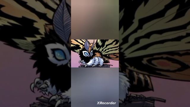 モスラ Dua LipaDance The Night