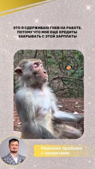 Работаете только ради кредитов? Есть способ вернуть контроль и спокойствие — законно списать долги!