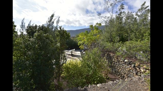 Guimar 25 января 2018