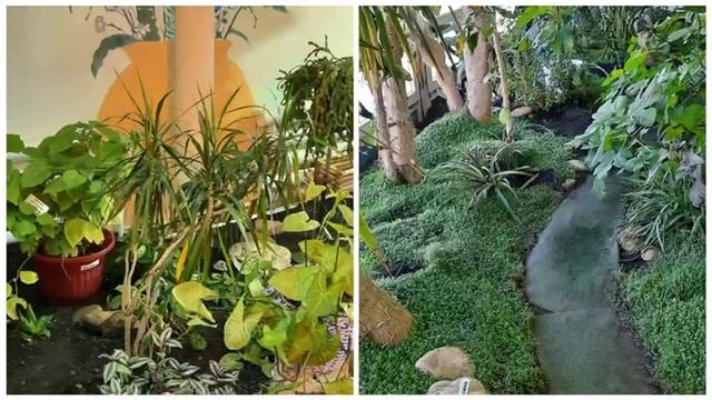 Агроклассы